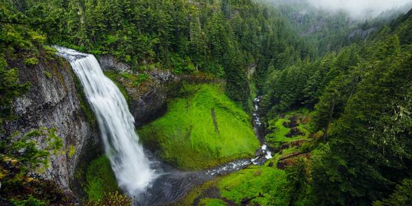 Cascada en el bosque