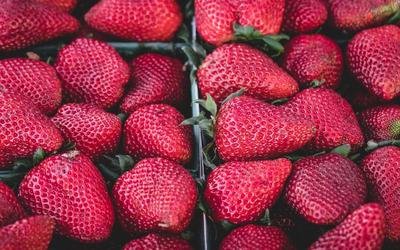 Fresas